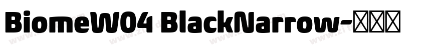 BiomeW04 BlackNarrow字体转换 BiomeW04 BlackNarrow字体转换